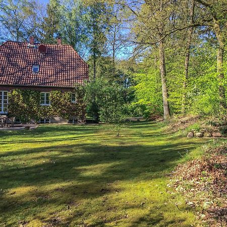 Forsthaus - Gut Thansen Soderstorf Екстериор снимка