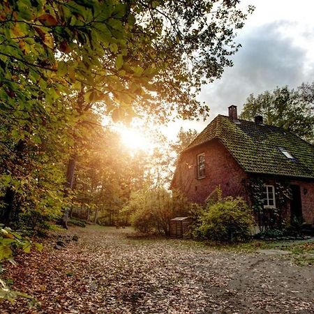 Forsthaus - Gut Thansen Soderstorf Екстериор снимка