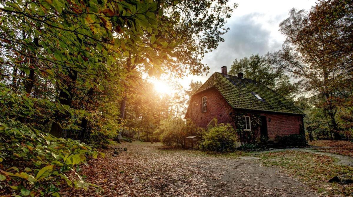 Forsthaus - Gut Thansen Soderstorf Екстериор снимка